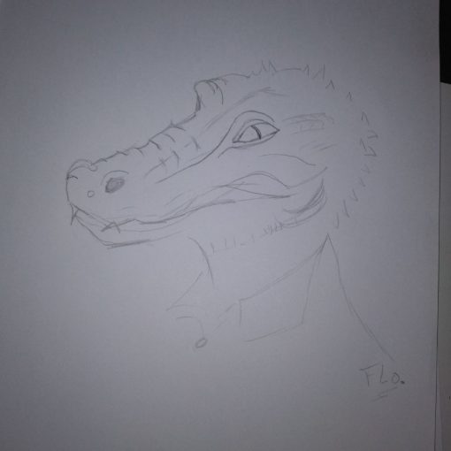 Les dessins de Flo 1 Un reptilien - Shafik Ben Amar Hypnose Bourg-La-Reine