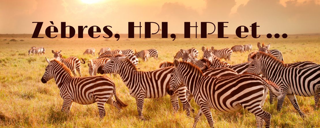 Zèbres, HPI, HPE, etc - Shafik Ben Amar #Hypnose Régressive Esotérique Bourg-La-Reine