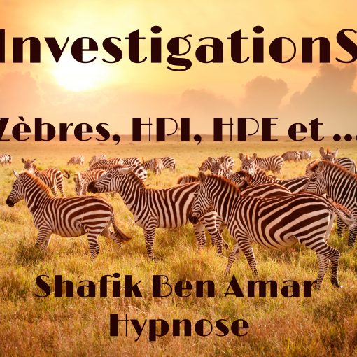 Zèbres, HPI, HPE, etc - Shafik Ben Amar #Hypnose Régressive Esotérique Bourg-La-Reine