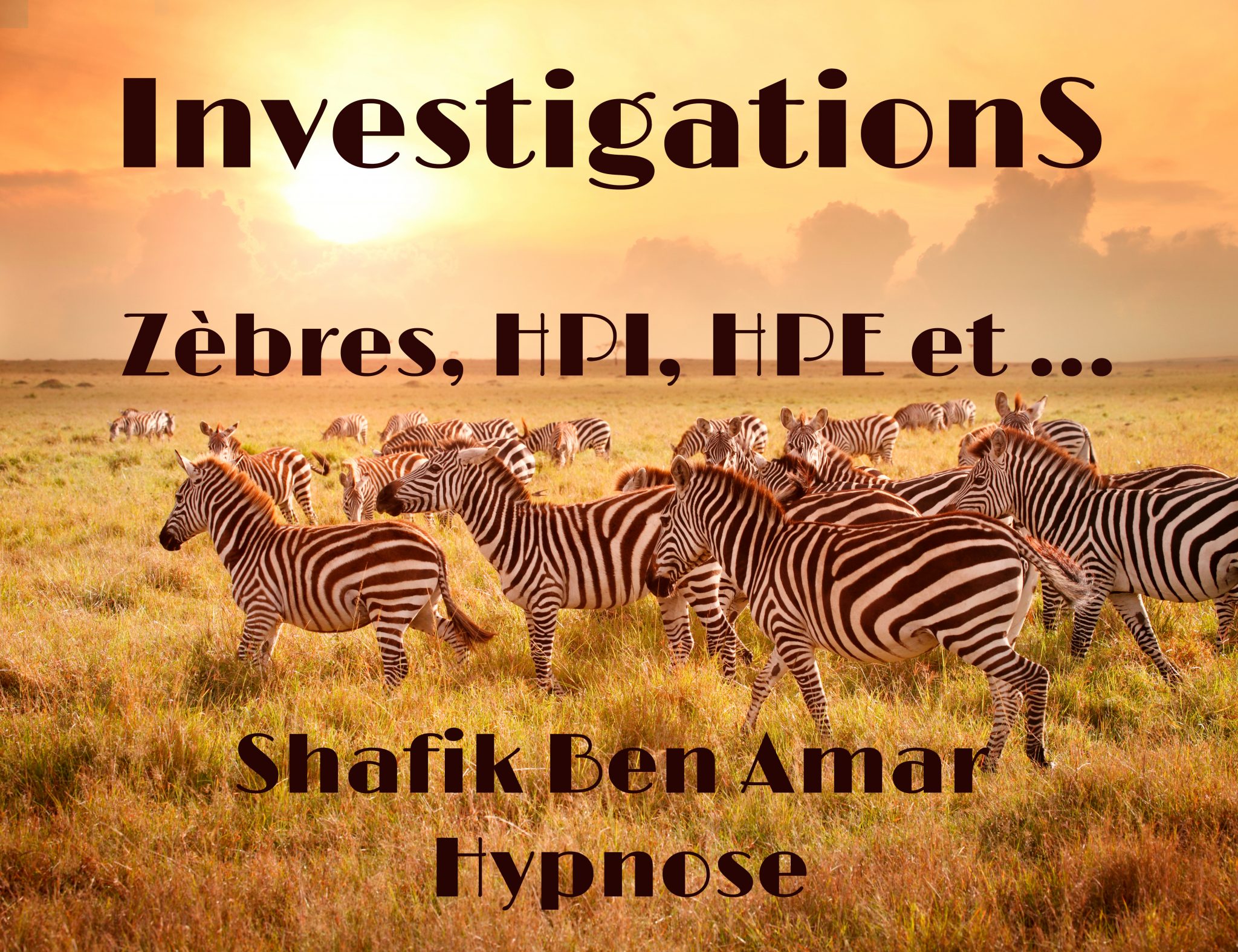 Zèbres, HPI, HPE, etc - Shafik Ben Amar #Hypnose Régressive Esotérique Bourg-La-Reine