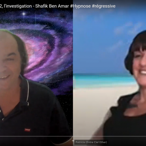Le chat 2 investigation - Shafik Ben Amar Hypnose régressive
