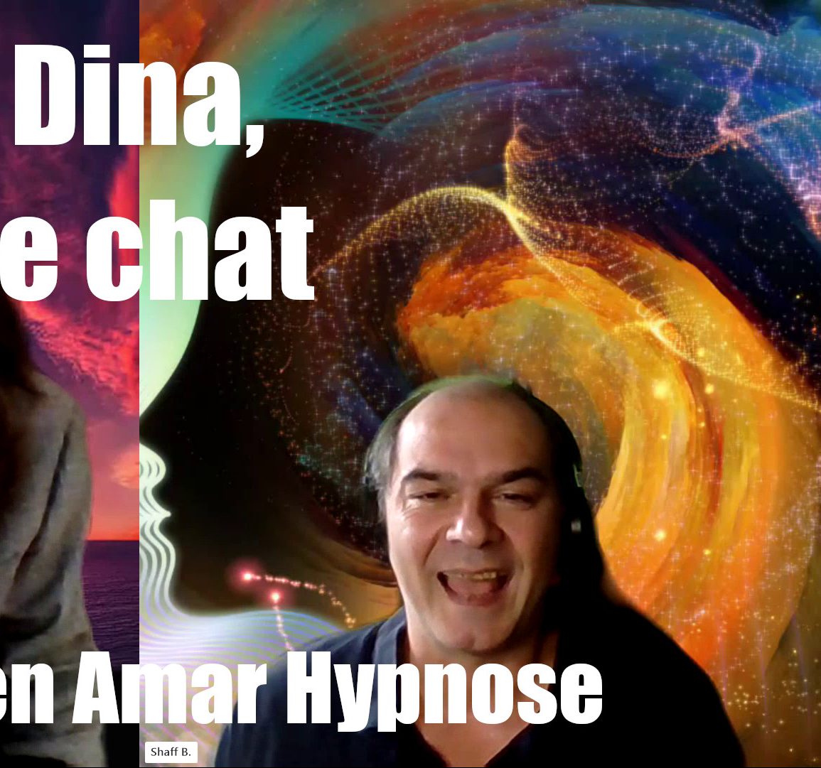 Shafik Dina le chat