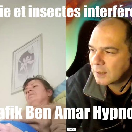 Sylvie et les insectes interférents Shafik Ben Amar Hypnose Bourg-La-Reine