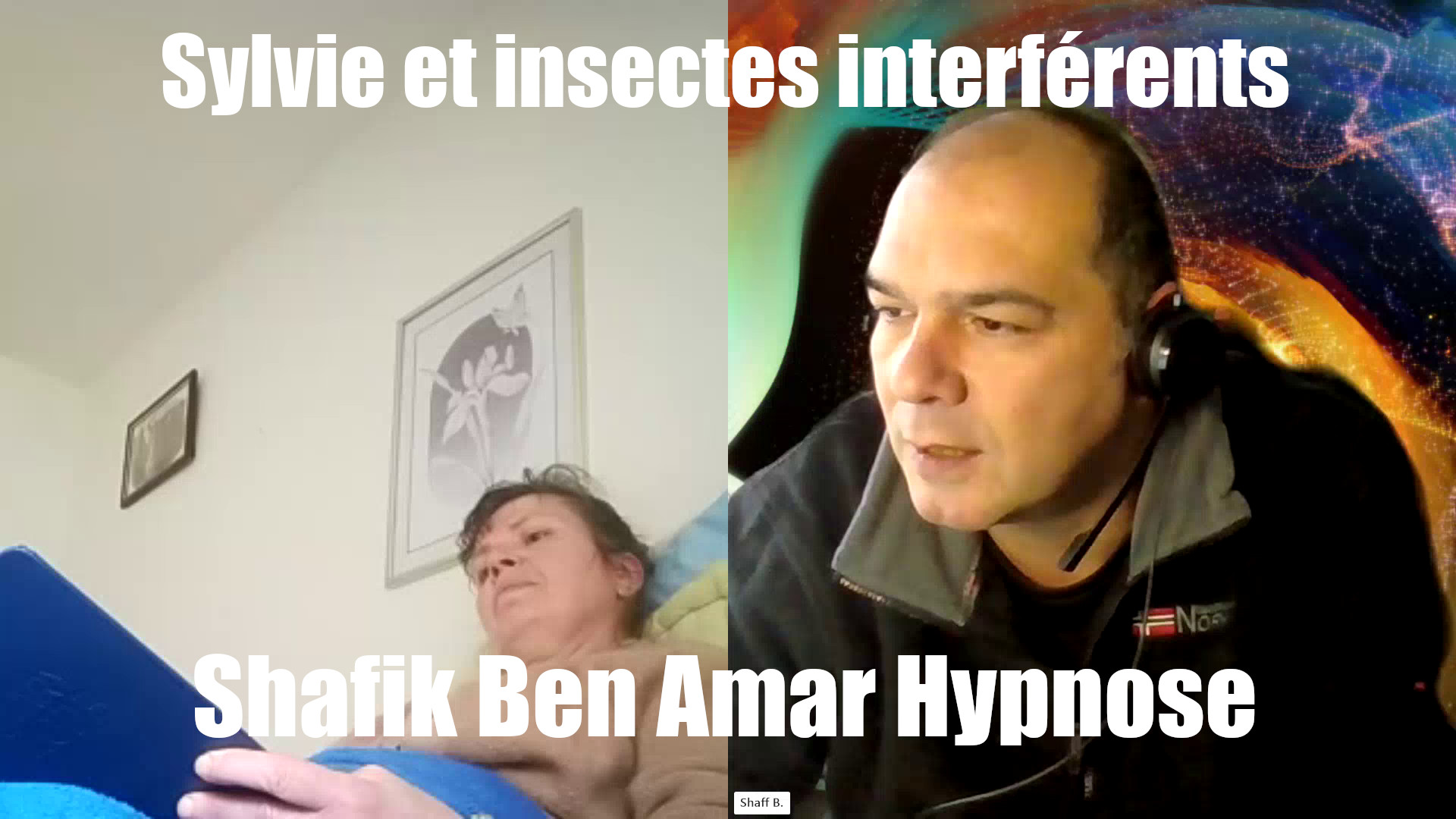 Sylvie et les insectes interférents Shafik Ben Amar Hypnose Bourg-La-Reine