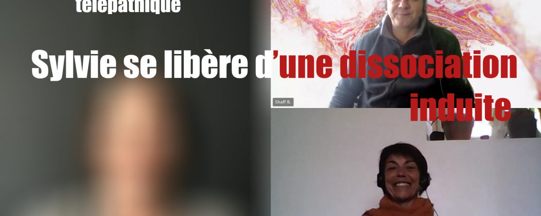 Sylvie Maria dissociation causee par une substance magnetique