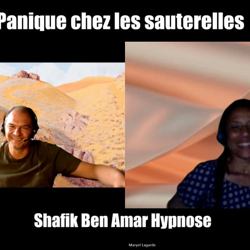 86-FR – Maryel : Panique chez les sauterelles, sauvez les meubles - Shafik Ben Amar #Hypnose #Régressive #ésotériques