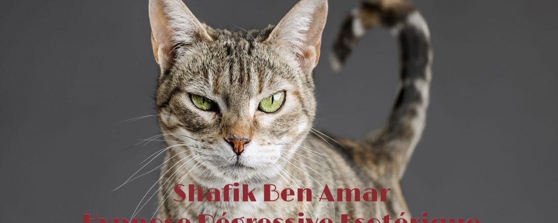 Investigation - Le CHAT 2024 Shafik Ben Amar Hypnose Régressive