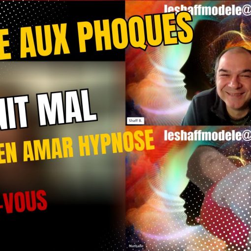 Chasse aux phoques qui finit mal - Shafik Ben Amar Hypnose Régressive Esotérique Bourg-La-Reine