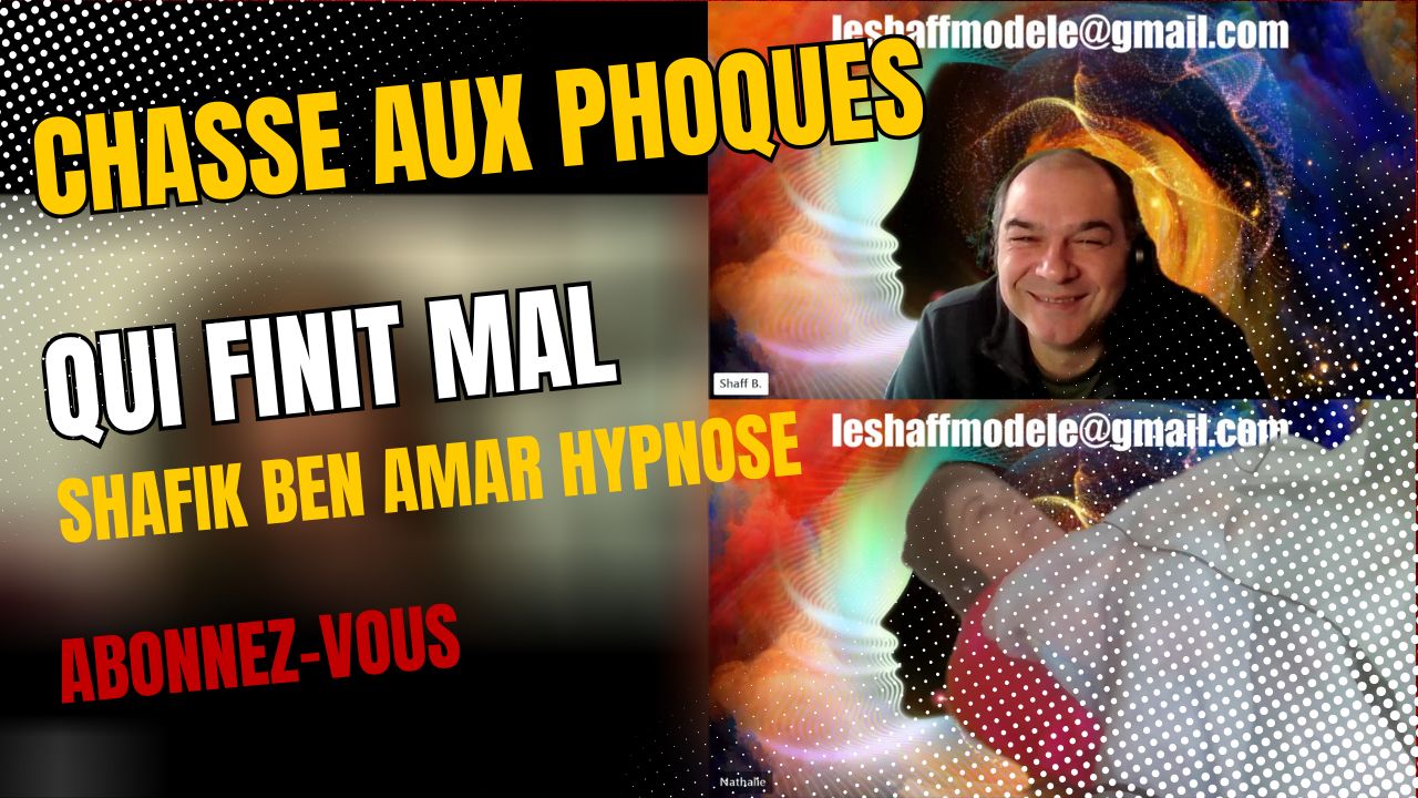 Chasse aux phoques qui finit mal - Shafik Ben Amar Hypnose Régressive Esotérique Bourg-La-Reine