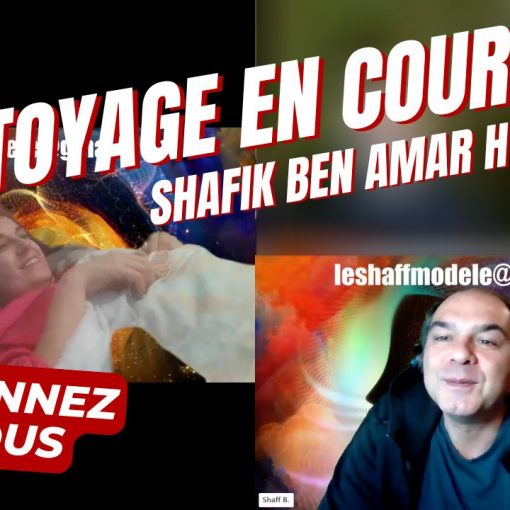Christophe NETTOYAGE EN COURS Shafik Ben Amar Hypnose Rgressive Esotérique Bourg-La-Reine