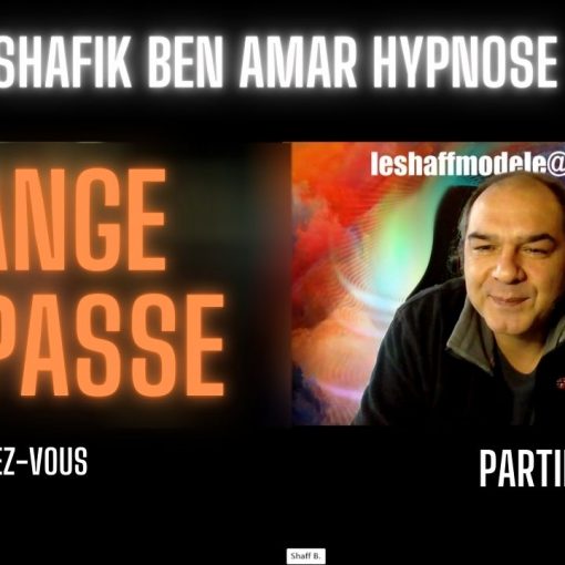 Diane change le passé Partie 2 Shafik Ben Amar Hypnose Régressive Esotérique Bourg-La-Reine