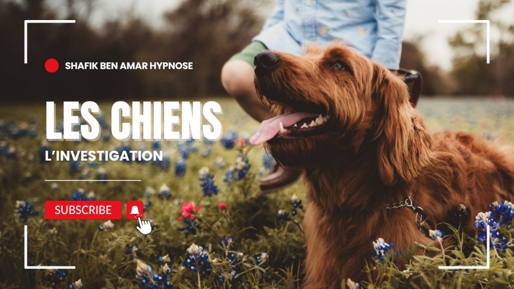 – Investigation « Les chiens» Shafik Ben Amar Hypnose Régréssive Esotérique Bourg-La-Reine