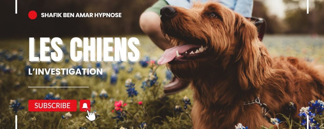 – Investigation « Les chiens» Shafik Ben Amar Hypnose Régréssive Esotérique Bourg-La-Reine