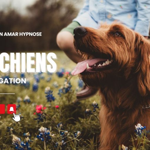 – Investigation « Les chiens» Shafik Ben Amar Hypnose Régréssive Esotérique Bourg-La-Reine