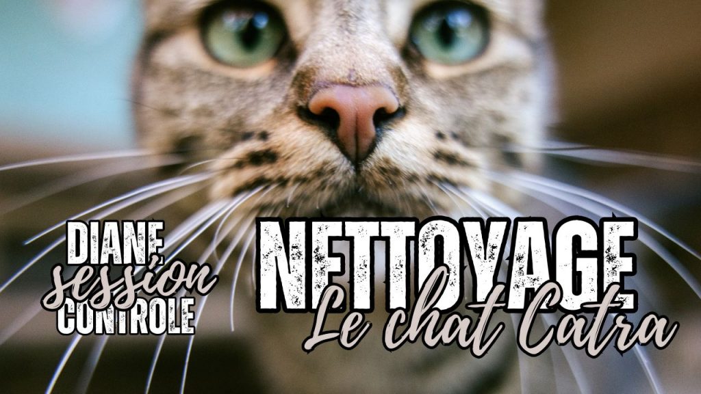 Nettoyage inter espace pour le chat Catra - Shafik Ben Amar Hypnose Régressive ésotériques Bourg-la-Reine