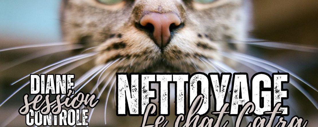 Nettoyage inter espace pour le chat Catra - Shafik Ben Amar Hypnose Régressive ésotériques Bourg-la-Reine