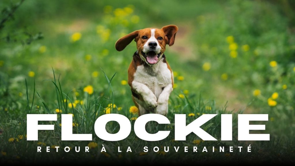 flockie retour à la souveraineté - Shafik Ben Amar Hypnose Régressive Esotériques Bourg-La-Reine