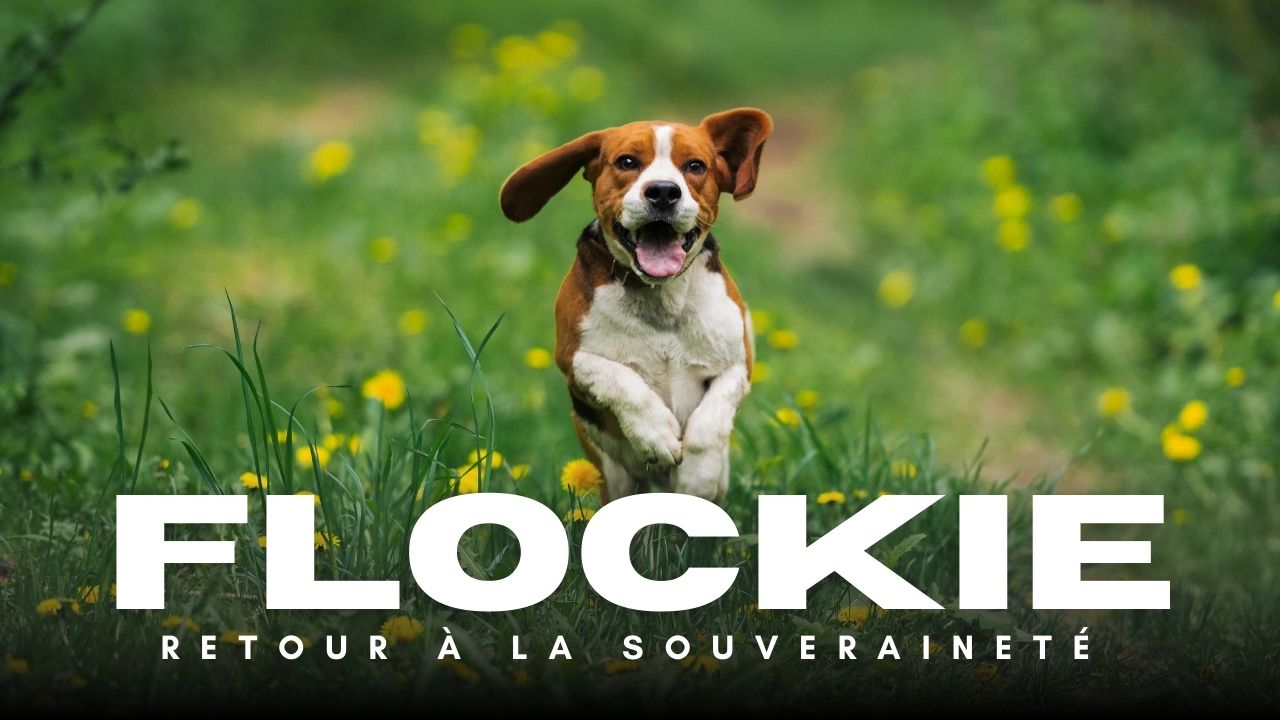 flockie retour à la souveraineté - Shafik Ben Amar Hypnose Régressive Esotériques Bourg-La-Reine