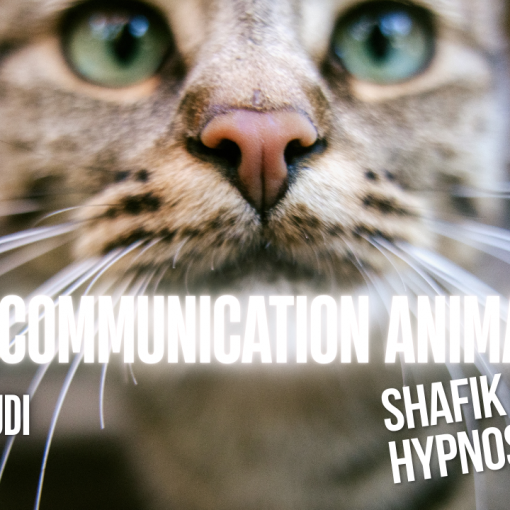 043 - Live HRE du Jeudi 14 aout «la communication animale» - Shafik Ben Amar Hypnose Régressive ésotériques