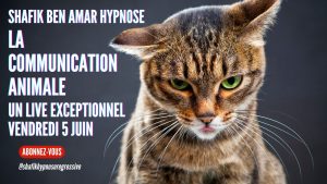 084 – Live du 5 Juin La Communication Animale - Shafik Ben Amar Hypnose Régressive ésotériques