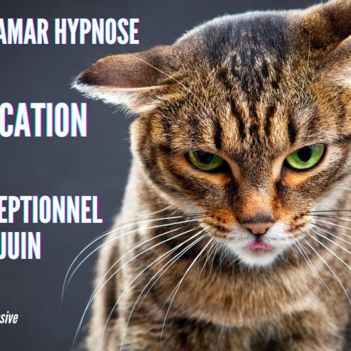 084 – Live du 5 Juin La Communication Animale - Shafik Ben Amar Hypnose Régressive ésotériques