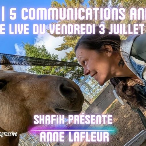 Ep316 - 2ieme live communication animale - Shafik Ben Amar Hypnose Régressive ésotériques Bourg-La-Reine