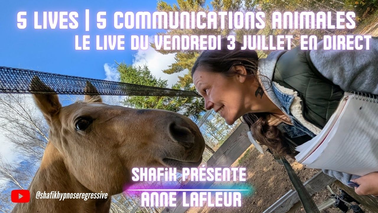 Ep316 - 2ieme live communication animale - Shafik Ben Amar Hypnose Régressive ésotériques Bourg-La-Reine