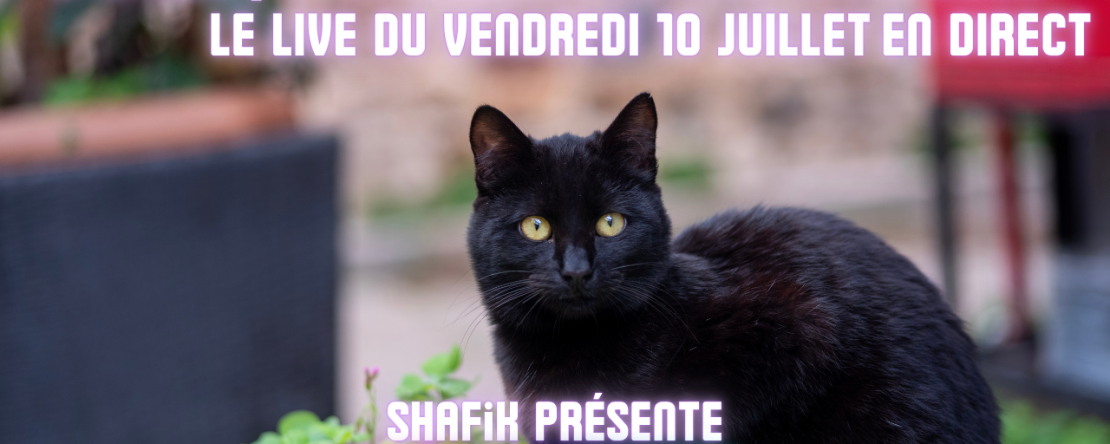 Ep316 - 3ieme live communication animale - Shafik Ben Amar Hypnose Régressive ésotériques Bourg-La-Reine