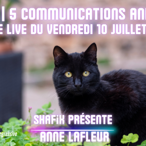 Ep316 - 3ieme live communication animale - Shafik Ben Amar Hypnose Régressive ésotériques Bourg-La-Reine