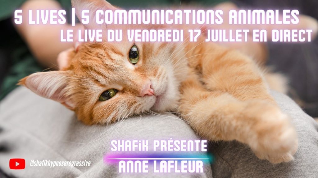Ep316 - 4ieme live communication animale - Shafik Ben Amar Hypnose Régressive ésotériques Bourg-La-Reine