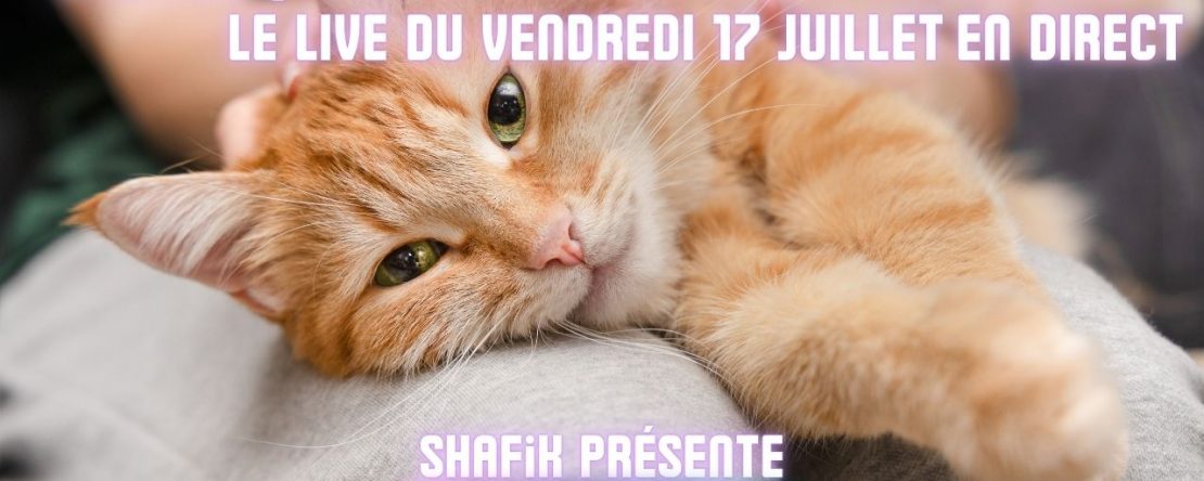 Ep316 - 4ieme live communication animale - Shafik Ben Amar Hypnose Régressive ésotériques Bourg-La-Reine