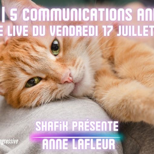 Ep316 - 4ieme live communication animale - Shafik Ben Amar Hypnose Régressive ésotériques Bourg-La-Reine