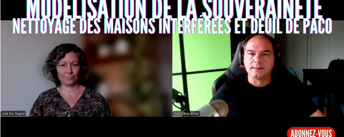 Ep326 - modelisation de la souveraineté - Shafik Ben Amar Hypnose Régressive ésotériques Bourg-La-Reine