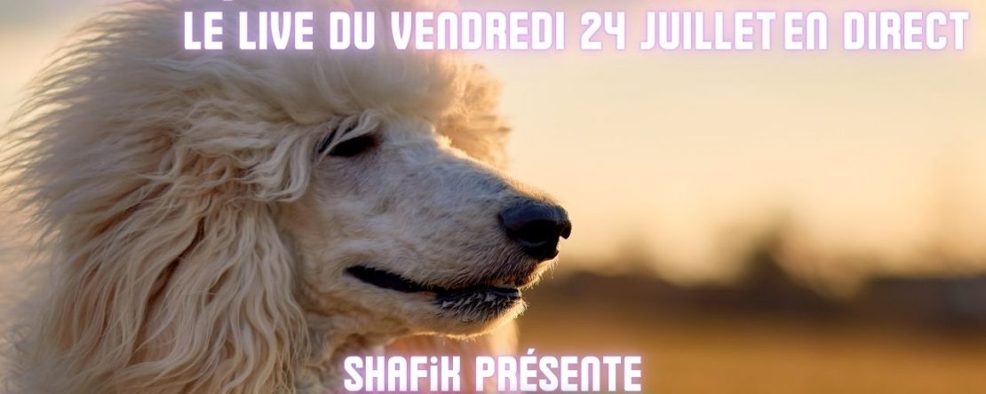 Ep92 - 5ieme live communication animale - Shafik Ben Amar Hypnose Régressive ésotériques Bourg-La-Reine