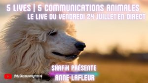 Ep92 - 5ieme live communication animale - Shafik Ben Amar Hypnose Régressive ésotériques Bourg-La-Reine