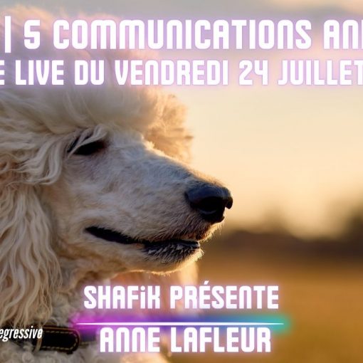 Ep92 - 5ieme live communication animale - Shafik Ben Amar Hypnose Régressive ésotériques Bourg-La-Reine