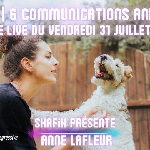 Ep93 - 6ieme live communication animale - Shafik Ben Amar Hypnose Régressive ésotériques Bourg-La-Reine