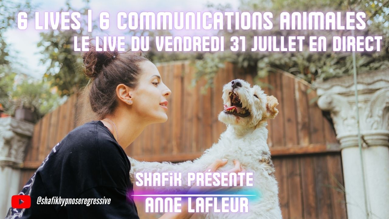 Ep93 - 6ieme live communication animale - Shafik Ben Amar Hypnose Régressive ésotériques Bourg-La-Reine
