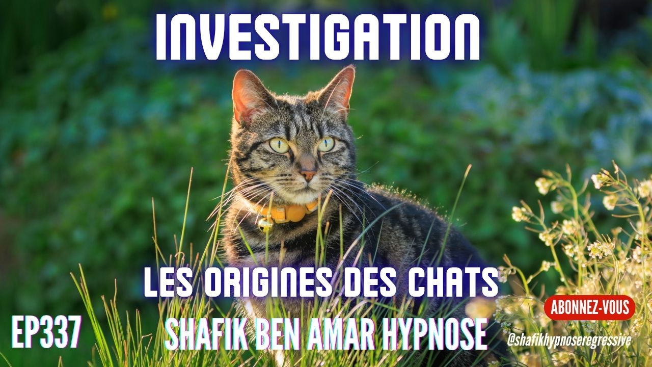 Ep337 -investigation Les chats origines - Shafik Ben Amar Hypnose Régressive ésotériques Bourg-La-Reine