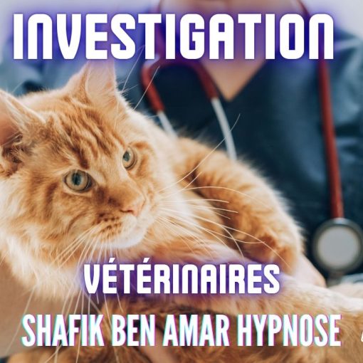 Ep338 -investigation vétérinaire - Shafik Ben Amar Hypnose Régressive ésotériques Bourg-La-Reine
