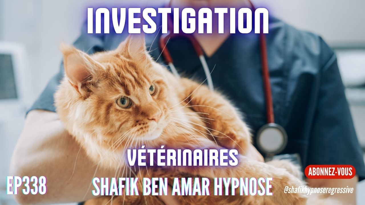Ep338 -investigation vétérinaire - Shafik Ben Amar Hypnose Régressive ésotériques Bourg-La-Reine